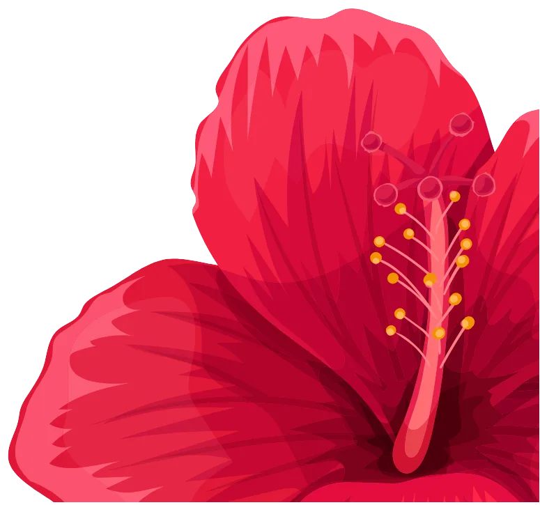 Decorative Flower