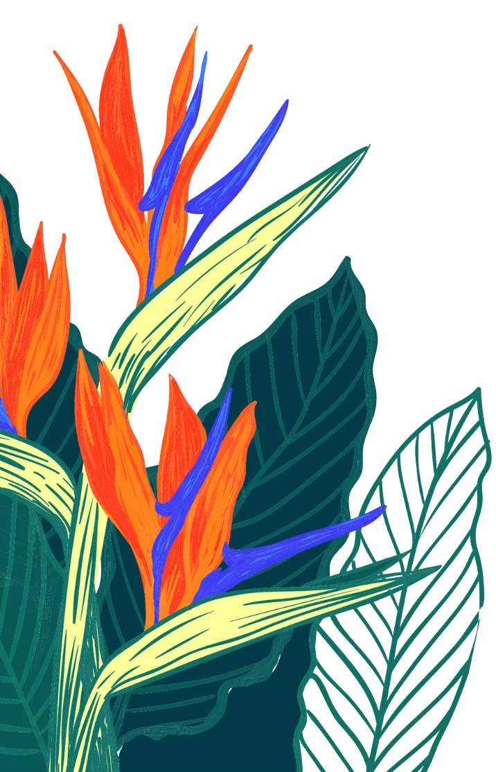 Left Decoration